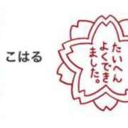 ヒメ日記 2025/07/01 13:28 投稿 こはる 秘書室（すすきの）