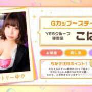 ヒメ日記 2025/08/03 01:28 投稿 こはる 秘書室（すすきの）