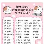 ヒメ日記 2025/09/29 01:30 投稿 こはる 秘書室（すすきの）