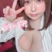 ヒメ日記 2025/11/08 09:28 投稿 こはる 秘書室（すすきの）