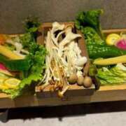 ヒメ日記 2026/01/31 13:28 投稿 こはる 秘書室（すすきの）