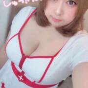 ヒメ日記 2026/02/08 11:27 投稿 こはる 秘書室（すすきの）