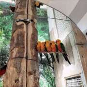 ヒメ日記 2025/02/05 10:18 投稿 まさみ 秘書室（すすきの）