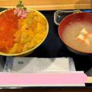 わかな 生存報告 秘書室（すすきの）