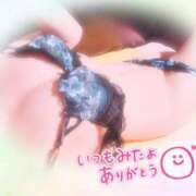 ヒメ日記 2025/11/22 17:53 投稿 レイラ 不夜城