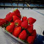 ヒメ日記 2025/03/20 11:07 投稿 紀香（のりか） 不夜城