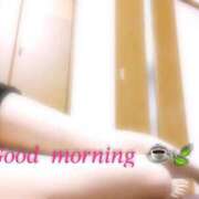 ヒメ日記 2025/04/11 15:44 投稿 るりか 不夜城