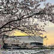 ヒメ日記 2025/04/13 20:57 投稿 りおな 大和人妻城