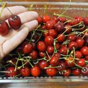 ヒメ日記 2025/06/08 21:03 投稿 りおな 大和人妻城