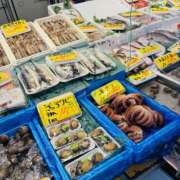 ヒメ日記 2025/09/16 22:43 投稿 りおな 大和人妻城