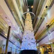 りおな 問題無し 大和人妻城