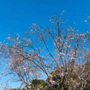 ヒメ日記 2026/01/02 16:18 投稿 りおな 大和人妻城