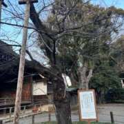 ヒメ日記 2026/03/18 17:27 投稿 りおな 大和人妻城