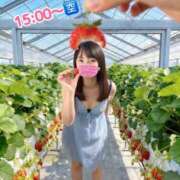 ヒメ日記 2026/04/24 13:03 投稿 りおな 大和人妻城