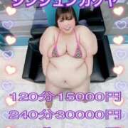 ヒメ日記 2025/01/18 13:15 投稿 みみ きゃんでぃドロップス