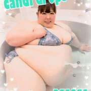 ヒメ日記 2025/05/16 15:27 投稿 みみ きゃんでぃドロップス