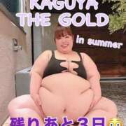 ヒメ日記 2025/07/29 14:49 投稿 みみ きゃんでぃドロップス