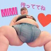 ヒメ日記 2025/09/08 04:08 投稿 みみ きゃんでぃドロップス