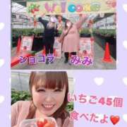 ヒメ日記 2026/02/18 14:05 投稿 みみ きゃんでぃドロップス