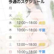 ヒメ日記 2025/11/17 08:04 投稿 井上ゆうか 癒したくて成田店～日本人アロマ性感～