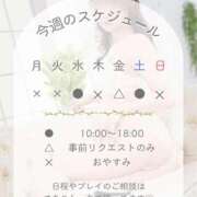ヒメ日記 2026/08/17 09:24 投稿 井上ゆうか 癒したくて成田店～日本人アロマ性感～