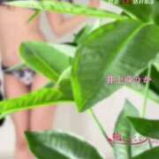 ヒメ日記 2025/08/12 08:34 投稿 井上ゆうか 成田快楽Ｍ性感倶楽部～前立腺マッサージ専門～