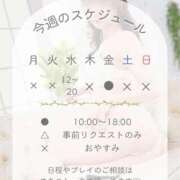 ヒメ日記 2026/09/14 08:34 投稿 井上ゆうか 成田快楽Ｍ性感倶楽部～前立腺マッサージ専門～