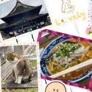 ヒメ日記 2025/04/04 12:16 投稿 丸山(まるやま) Ageha（あげは）