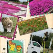 ヒメ日記 2025/04/25 13:46 投稿 丸山(まるやま) Ageha（あげは）