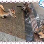 ヒメ日記 2025/09/05 11:23 投稿 丸山(まるやま) Ageha（あげは）