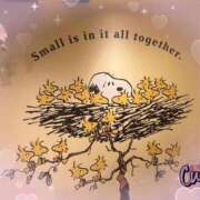 ヒメ日記 2026/03/06 11:52 投稿 丸山(まるやま) Ageha（あげは）