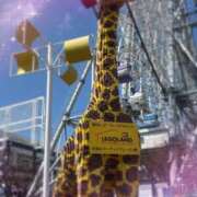 ヒメ日記 2026/04/02 11:46 投稿 丸山(まるやま) Ageha（あげは）