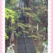ヒメ日記 2026/05/03 12:54 投稿 丸山(まるやま) Ageha（あげは）