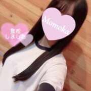 ヒメ日記 2025/09/13 11:33 投稿 木村ももか ハマヘル同好会（横浜ハレ系）