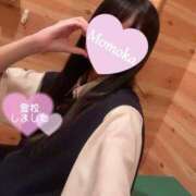 ヒメ日記 2025/09/17 10:37 投稿 木村ももか ハマヘル同好会（横浜ハレ系）