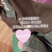 ヒメ日記 2026/01/10 10:15 投稿 木村ももか ハマヘル同好会（横浜ハレ系）