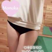 ヒメ日記 2026/01/12 10:15 投稿 木村ももか ハマヘル同好会（横浜ハレ系）