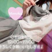 ヒメ日記 2026/01/17 10:15 投稿 木村ももか ハマヘル同好会（横浜ハレ系）