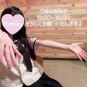 ヒメ日記 2026/01/21 10:15 投稿 木村ももか ハマヘル同好会（横浜ハレ系）