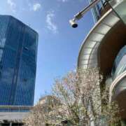 ヒメ日記 2025/04/07 11:02 投稿 浦野 鶯谷デッドボール