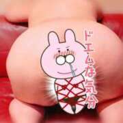 ヒメ日記 2025/09/27 06:29 投稿 浦野 鶯谷デッドボール