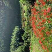 時田（ときた） 時田です あなたの妻