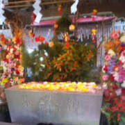 ヒメ日記 2025/01/15 17:27 投稿 えみり 仙台人妻セレブリティー