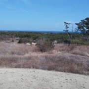 ヒメ日記 2025/03/12 13:24 投稿 えみり 仙台人妻セレブリティー