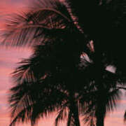 ヒメ日記 2025/06/23 12:30 投稿 えみり 仙台人妻セレブリティー