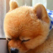 ヒメ日記 2025/07/06 17:27 投稿 えみり 仙台人妻セレブリティー