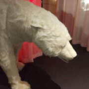 ヒメ日記 2025/07/21 18:22 投稿 えみり 仙台人妻セレブリティー