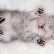 ヒメ日記 2025/08/28 16:35 投稿 えみり 仙台人妻セレブリティー