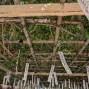 ヒメ日記 2025/09/24 14:29 投稿 えみり 仙台人妻セレブリティー