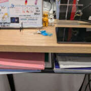 ヒメ日記 2025/11/11 10:53 投稿 えみり 仙台人妻セレブリティー